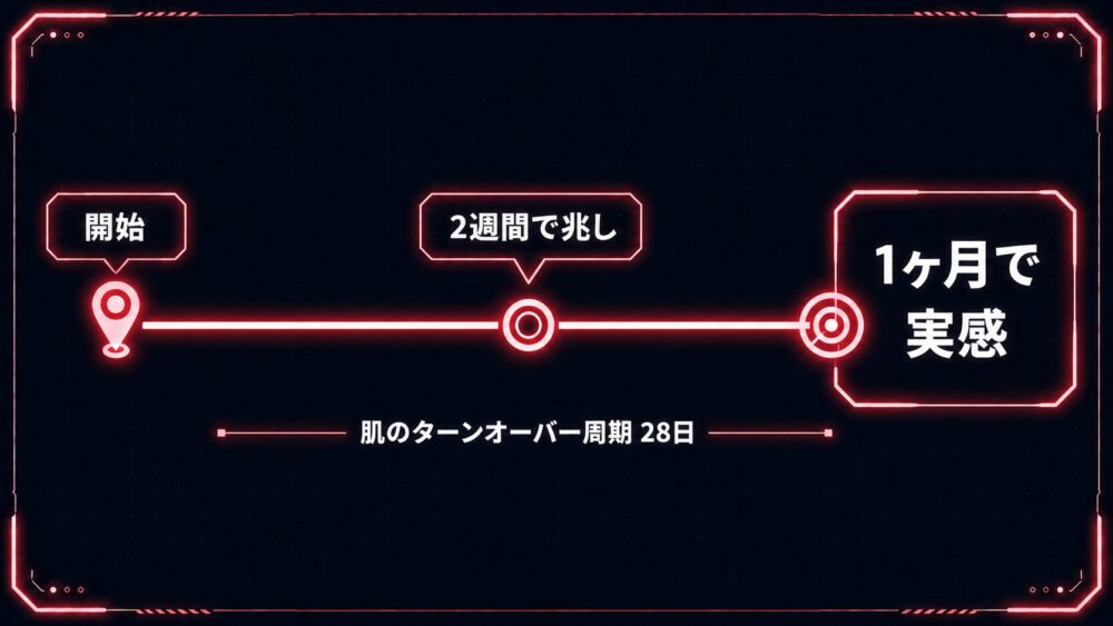 肌が変わるまでのタイムライン 2週間で兆し・1ヶ月で実感（ターンオーバー周期28日）